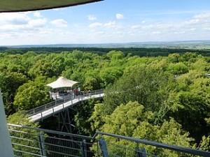 Baumkronenpfad im Hainich, Deutschlands wohl letztem Urwald, einer Oase der Stille-Musik (RudolfSimon)