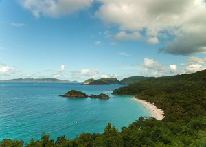 Blick auf die ursprünglich dänisch-westindische Insel St. John oberhalb des Trunk Bay (Barry Haynes)