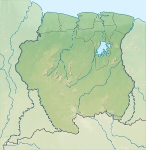 Die repräsentative Demokratie Surinames ist bis heute von Politikern der ehemaligen Militärdiktatur geprägt. Kulturell gesehen dominieren in den Künsten Mischstile aus afrikanischer, karibischer und indischer Tradition (Shadowfox 2013).