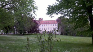 (Nicht nur) zum Abschluss der Brandenburgischen Sommerkonzerte 2015 spielt das Symphonieorchester Frankfurt an der Oder vor der Kulisse von Schloss Lübbenau im Spreewald (H.-P. Mederer).