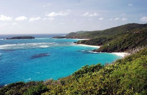 Auch auf Mustique, einer der Grenadinen-Inseln, geht es im Karneval mit Soca und Big Drum fröhlich zu (Küste an der Ostseite, Oktober 2005, GNU Free Do. Lic.).