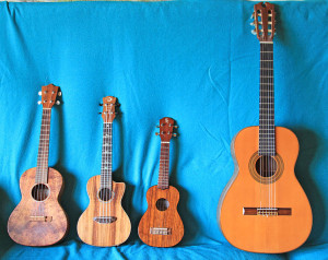 Links neben eine rKonzertgitarre von Roland Oetter sind zum Zweck des Größenvergleichs eine Tenor-, Konzert- und Sopran-Ukulele abgebildet - ein schlagendes Argument, auch wenn es um die praktische Mitnahme des Instruments "im Handgepäck" geht (Superikonoskop, GNU Free Doc. Lic.)