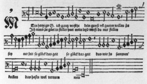Christiane Wiesenfeldt stellt in der Zeitschrift Die Musikforschung Heinrich Fincks seltsame Missa de Beata Virgini vor. Hier ein Ausschnitt aus der Tenorpartie seiner Komposition "Mein herzigs G" (Nürnberg 1536, p.d.).