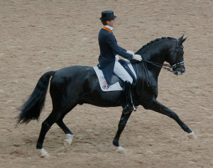 Etymologisch hängt der französische alte Tanz Traquenard aus der frühen und mittleren Barockzeit mit dem deutschen Trakehner zusammen. Das Bild zeigt Edward Gal mit dem Hengst Garibaldi beim Weltcupfinale im Dressurreiten 2007 (Fotoimage, p.d.).
