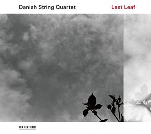 Instrumentale Interpretationen alter und überall in Dänemark bekannter Lieder (und Tänze) präsentiert das Danish String Quartet mit 'Last Leaf' (ECM 2017, B074CHGWN1).