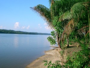 Am Maroni, der in vielerlei Hinsicht fruchtbaren Grenze zwischen Suriname und Französisch-Guyana (Patrick Wilhelm, 21.9.2004, GNU Free Doc. Lic.)