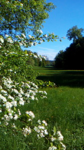 Der idyllische "Englische Garten" unterhalb von Schloss Rosenau im Coburger Land sah um 1820 Turnier- und Ritterfestspiele, die der Herzog selbst inszenierte - und von den Steuern und der Arbeit seiner Untertanen finanzierte (Hanns-Peter Mederer, 1.5.2018).