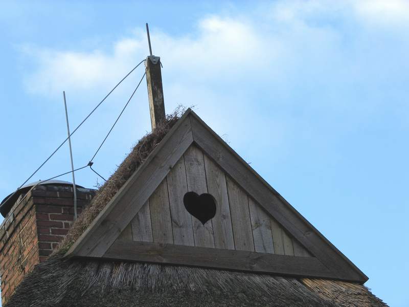 Von singenden Instrumenten