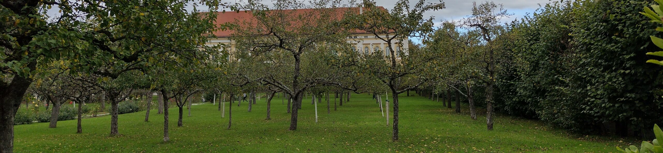Barocke Obstlese